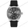 Super-Clone-IWC-Pilot8217s-Mark-XX-Patrouille-Suisse-IW328209-Titanium-1